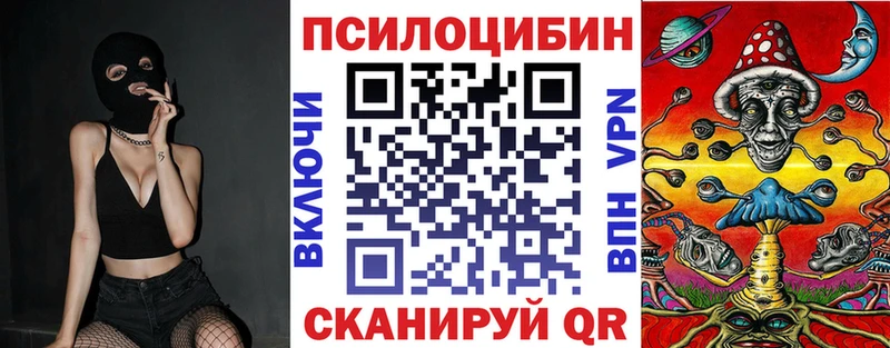 Галлюциногенные грибы Psilocybe  Нестеров 